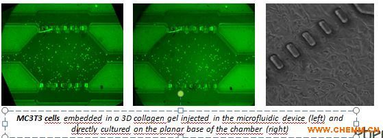 微流体切应力三维细胞芯片培养系统机械刺激环